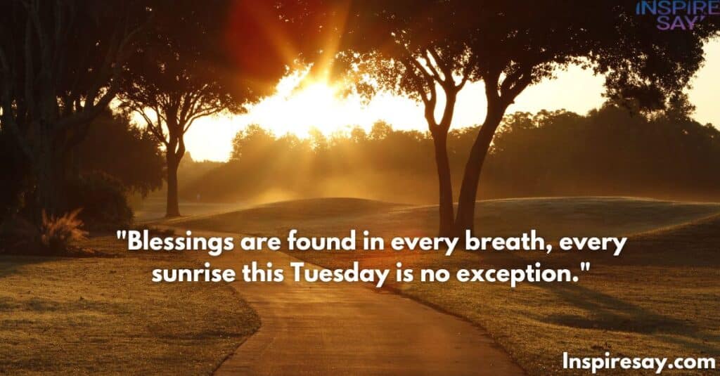 Blessings are found in every breath, every sunrise—this Tuesday is no exception.