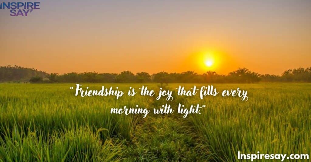 Friendship is the joy that fills every morning with light.