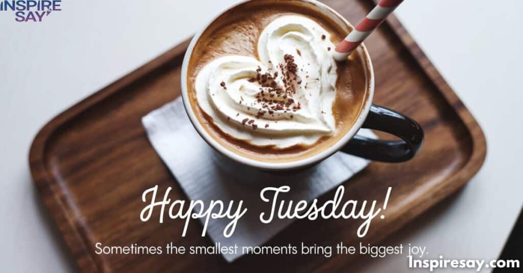 Happy Tuesday! Sometimes the smallest moments bring the biggest joy.