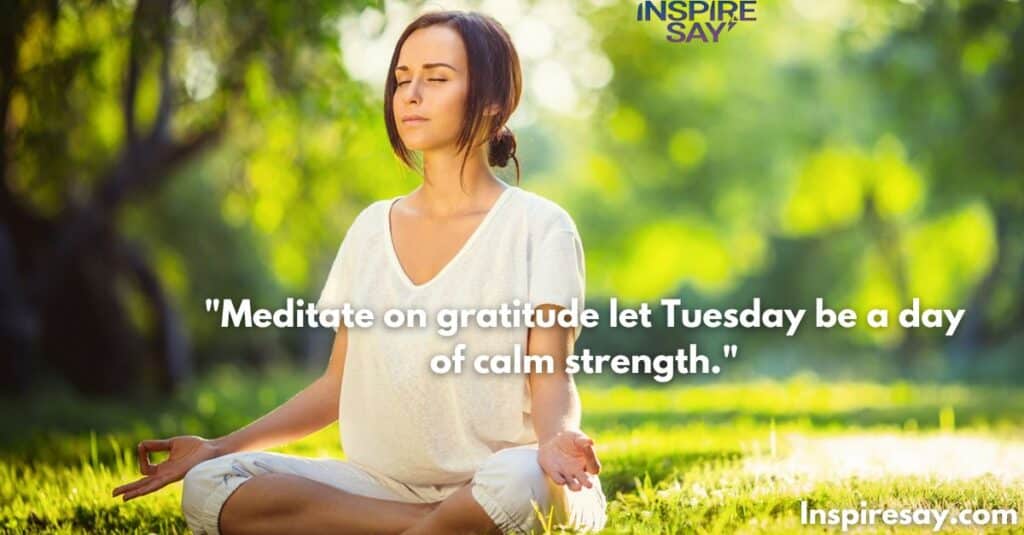 Meditate on gratitude—let Tuesday be a day of calm strength.