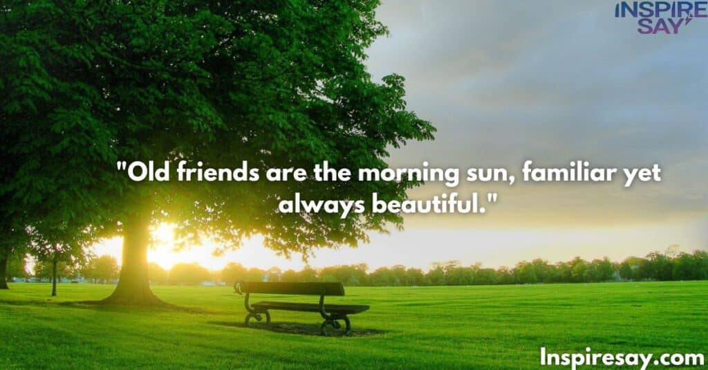 Old friends are the morning sun, familiar yet always beautiful.