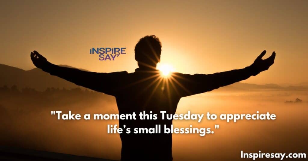 Take a moment this Tuesday to appreciate life’s small blessings.