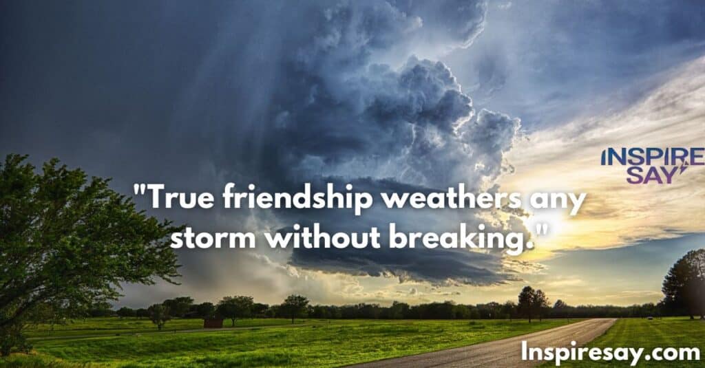 True friendship weathers any storm without breaking.