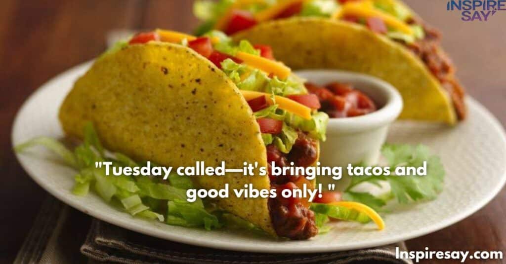 Tuesday called—it's bringing tacos and good vibes only! 🌮