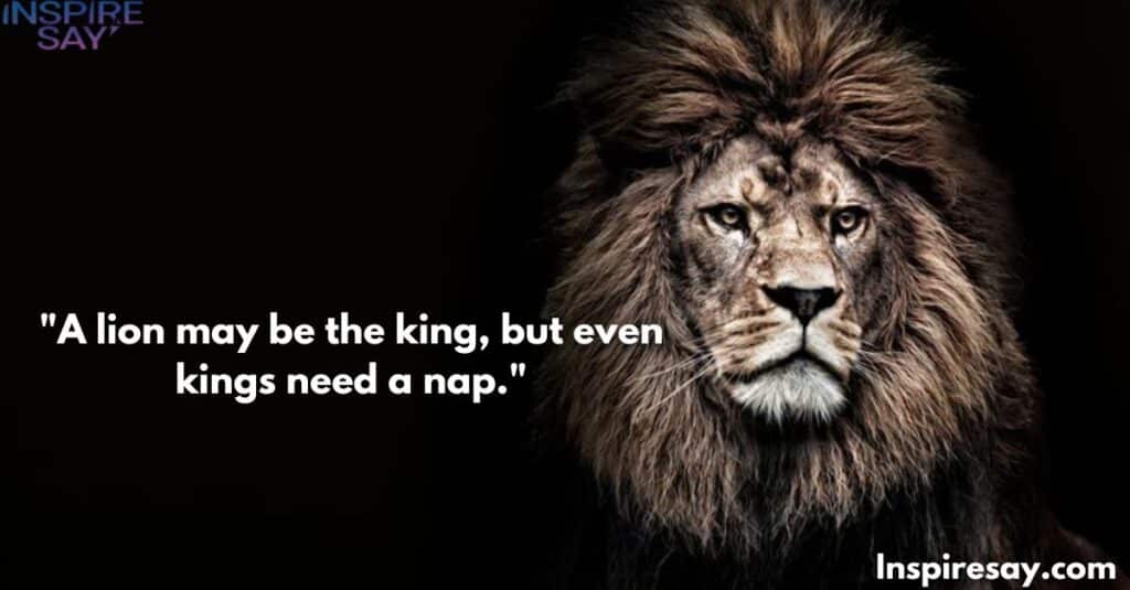 "A lion may be the king, but even kings need a nap. 💤"