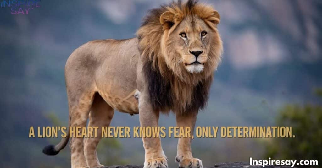 "A lion’s heart never knows fear, only determination." 💪