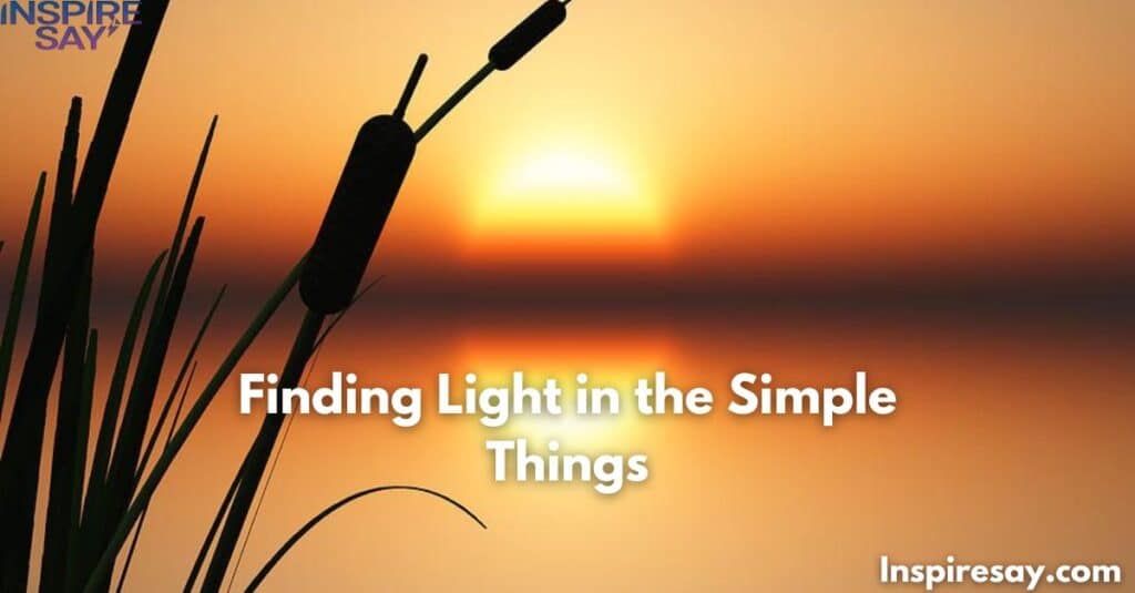 Finding Light in the Simple Things