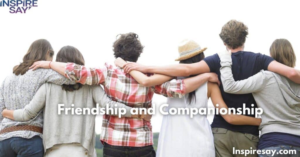 Friendship and Companionship