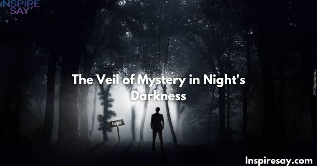 The Veil of Mystery in Night's Darkness