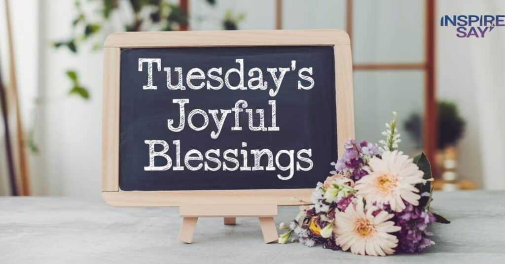 Tuesday’s Joyful Blessings 🌞💛