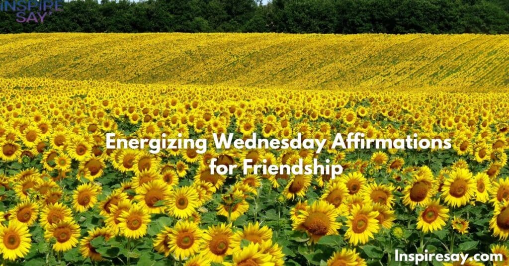 Energizing Wednesday Affirmations for Friendship