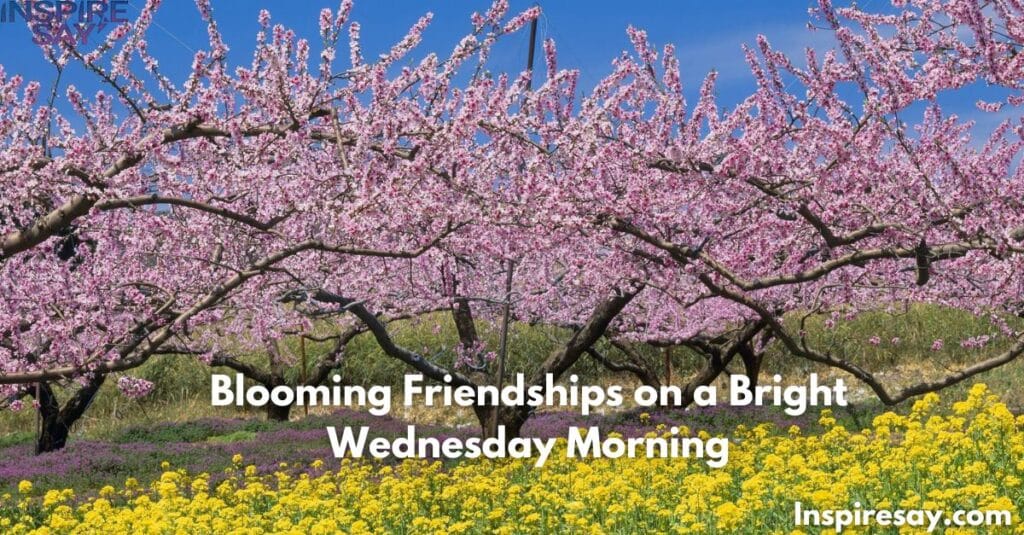 🌸 Blooming Friendships on a Bright Wednesday Morning