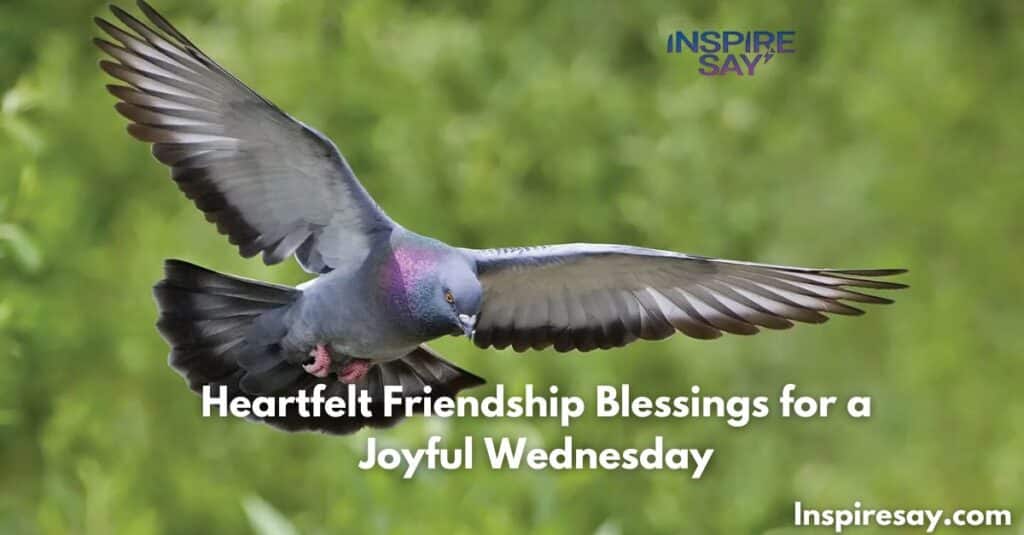 🕊️ Heartfelt Friendship Blessings for a Joyful Wednesday