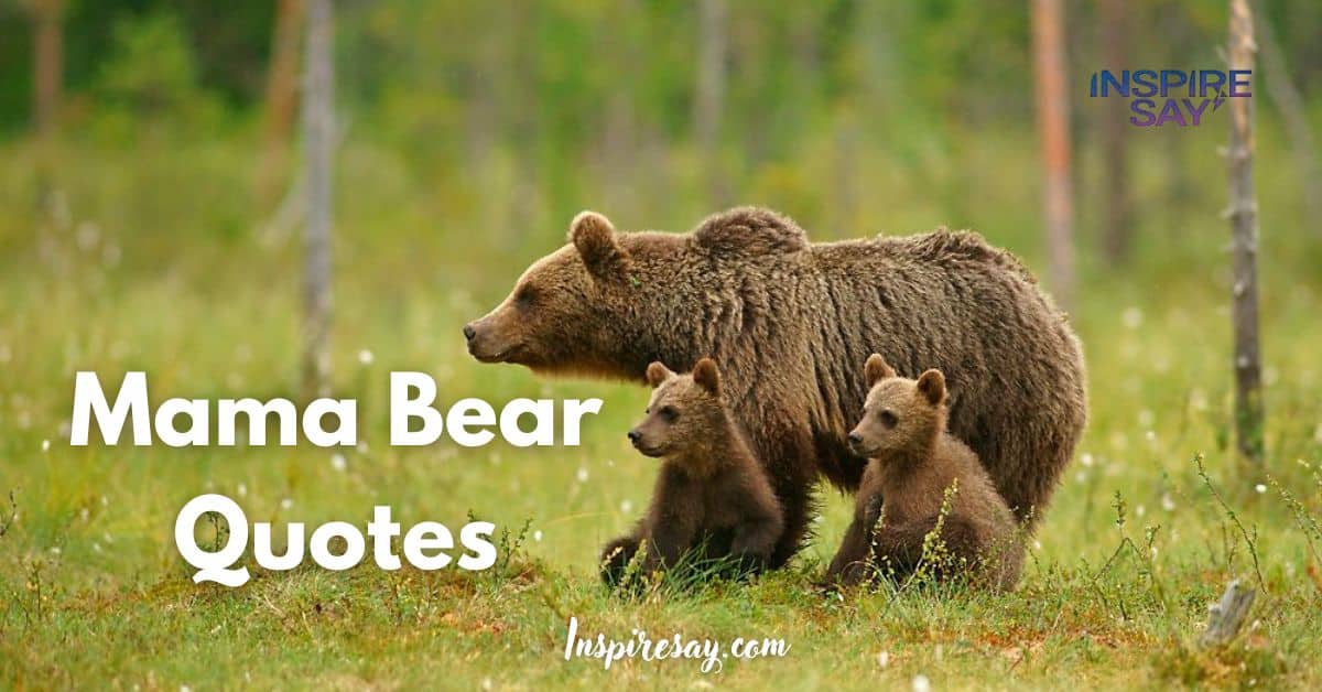 190+ Mama Bear Quotes to Ignite Your Fierce Love And Protection