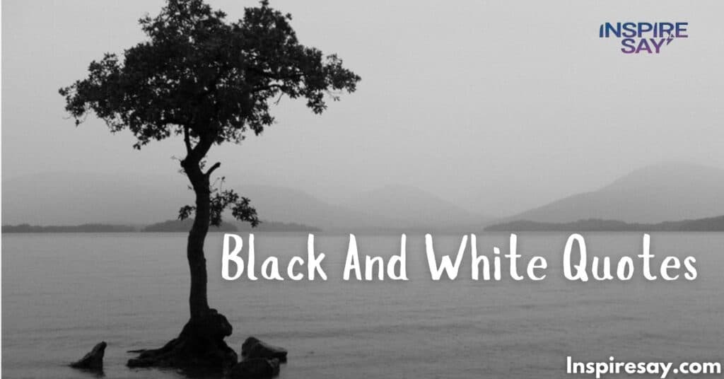 230+ Top Black And White Quotes For Instagram