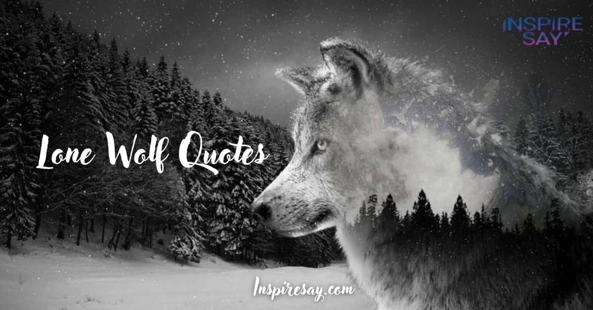 280 Best Lone Wolf Quotes