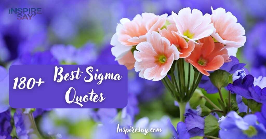 280+ Best Sigma Quotes and Captions to Inspire Your Journey