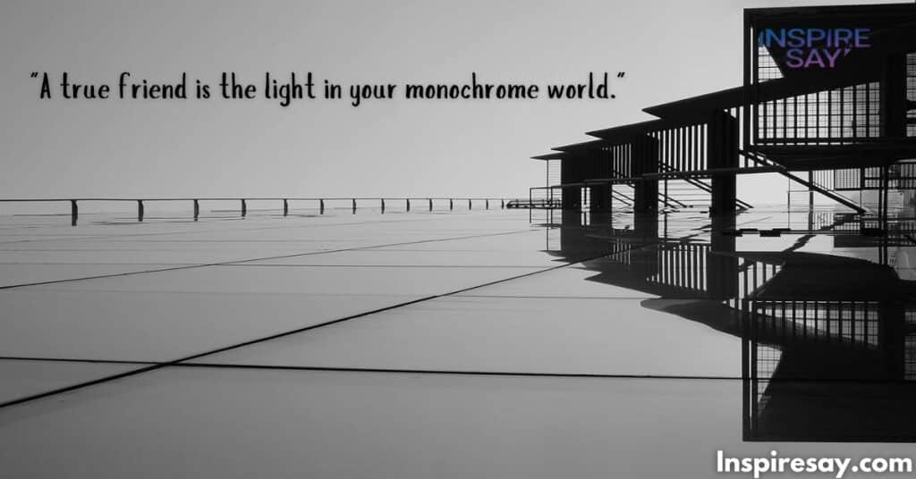 "A true friend is the light in your monochrome world."