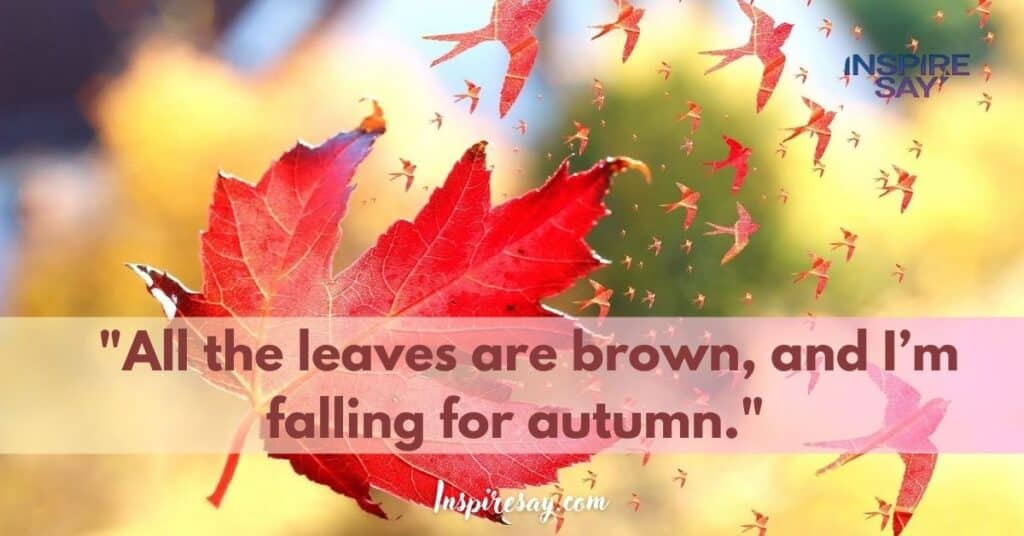 "All the leaves are brown, and I’m falling for autumn."