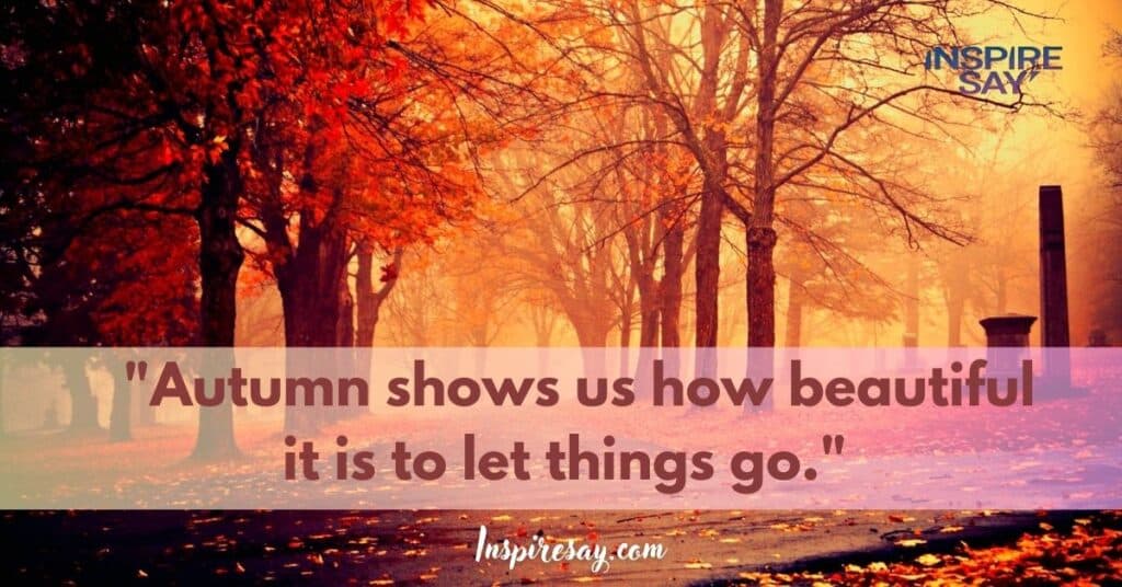 Autumn shows us how beautiful it is to let things go.