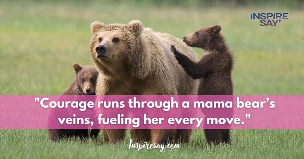 "Courage runs through a mama bear’s veins, fueling her every move."