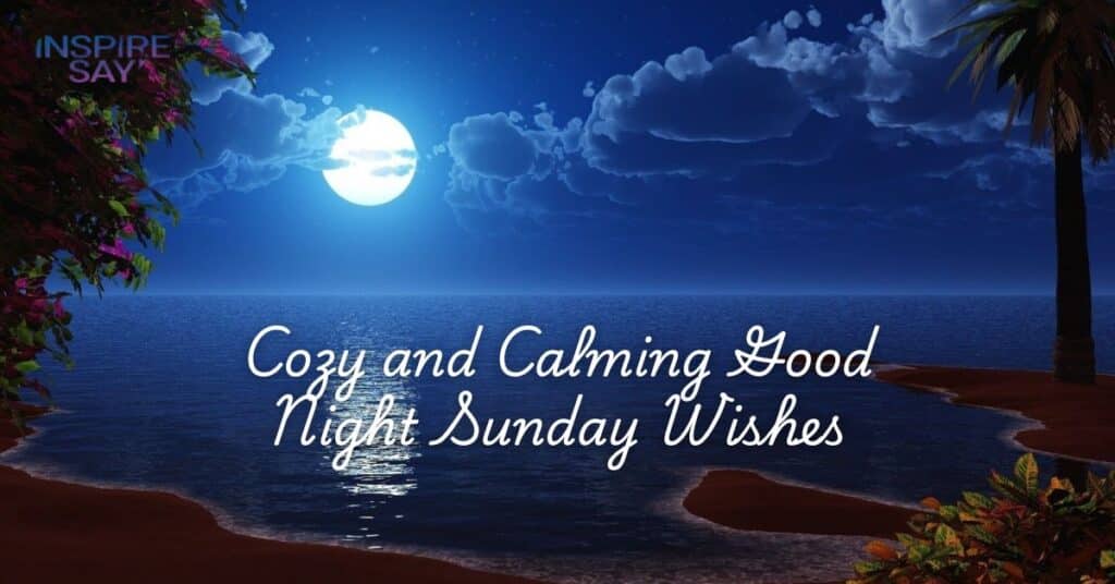 Cozy and Calming Good Night Sunday Wishes