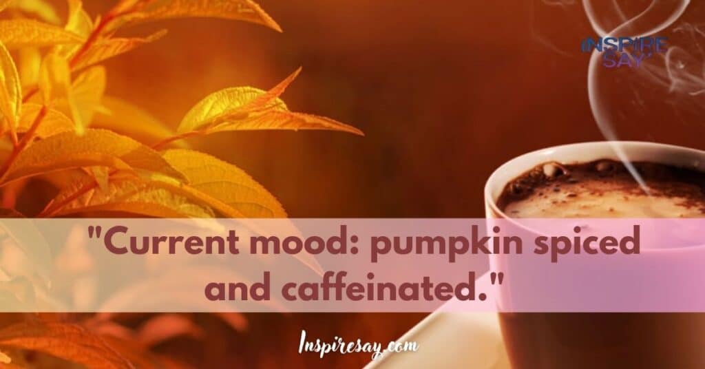 "Current mood: pumpkin-spiced and caffeinated."