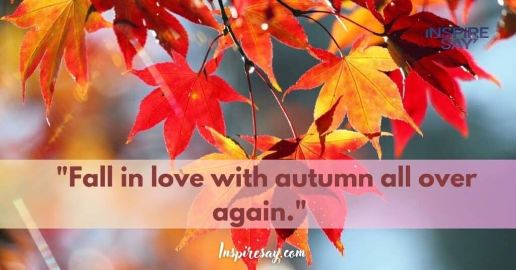 "Fall in love with autumn all over again."