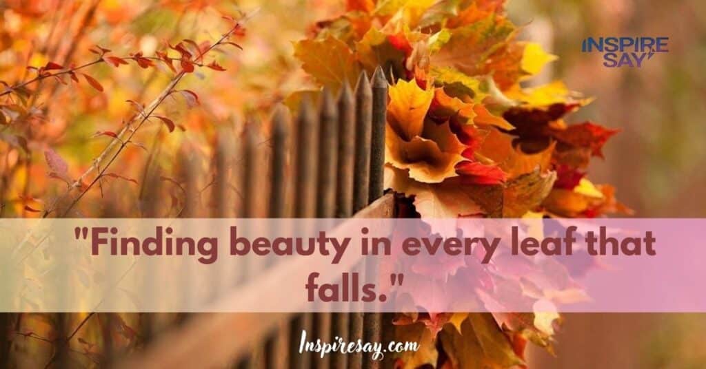 "Finding beauty in every leaf that falls."