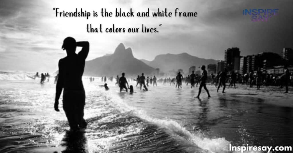 "Friendship is the black and white frame that colors our lives."