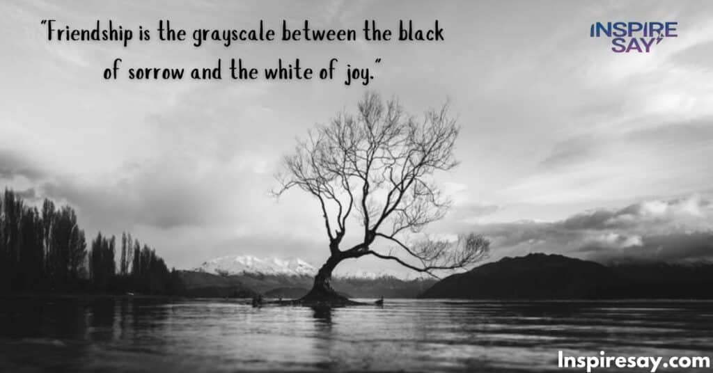 "Friendship is the grayscale between the black of sorrow and the white of joy."