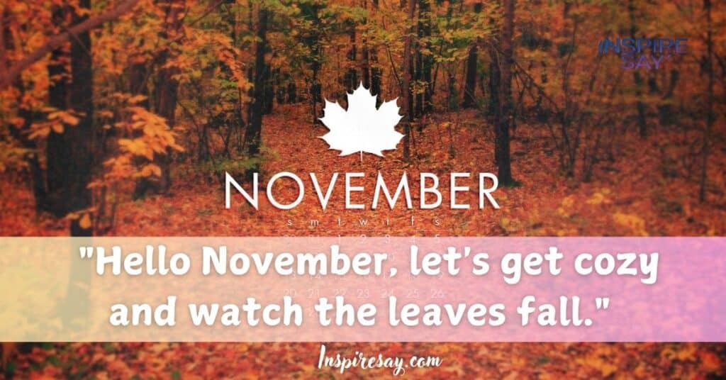 "Hello November, let's get cozy and watch the leaves fall."