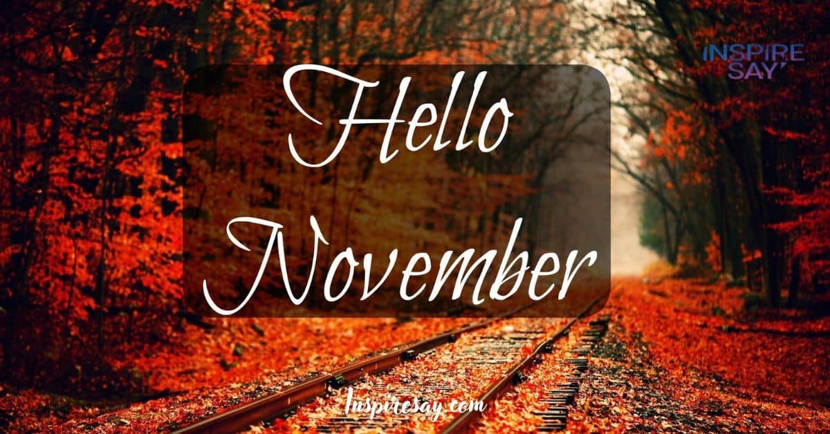 Magical Hello November Quotes That Spark Joy