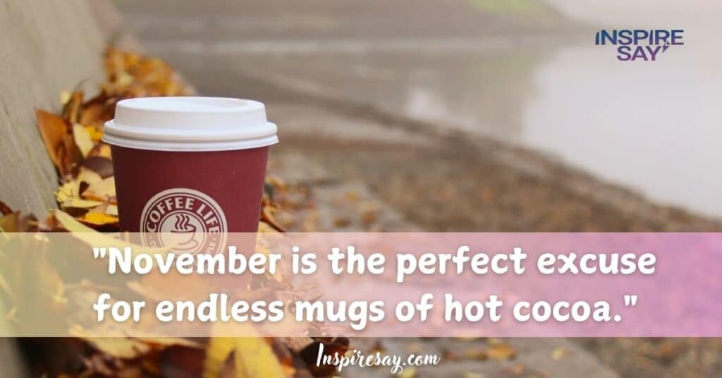 "November is the perfect excuse for endless mugs of hot cocoa."