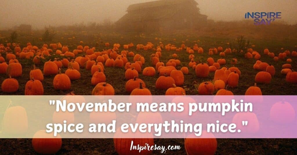 "November means pumpkin spice and everything nice."