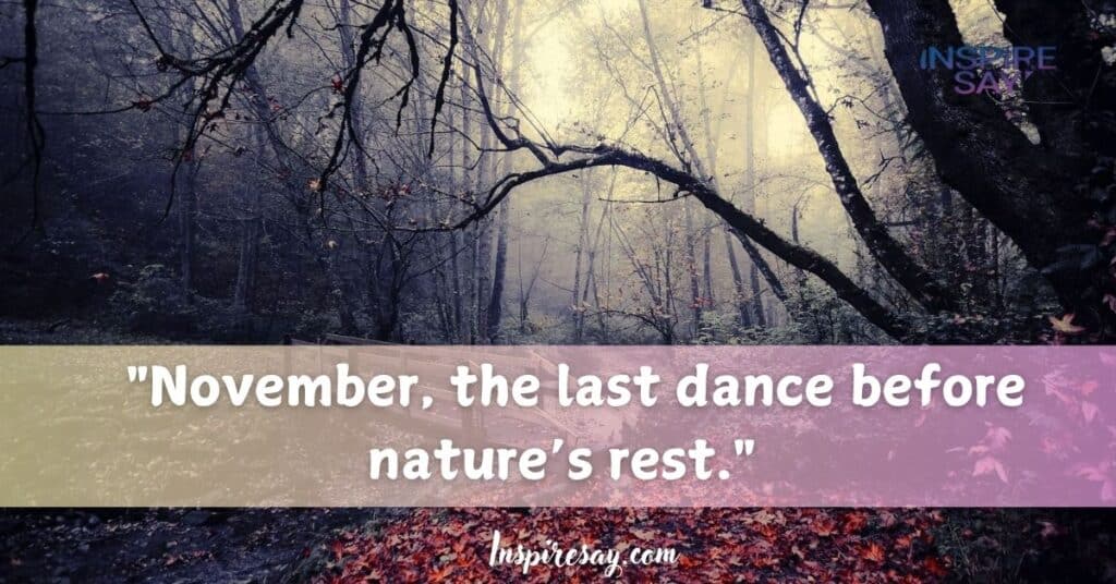 "November, the last dance before nature’s rest."