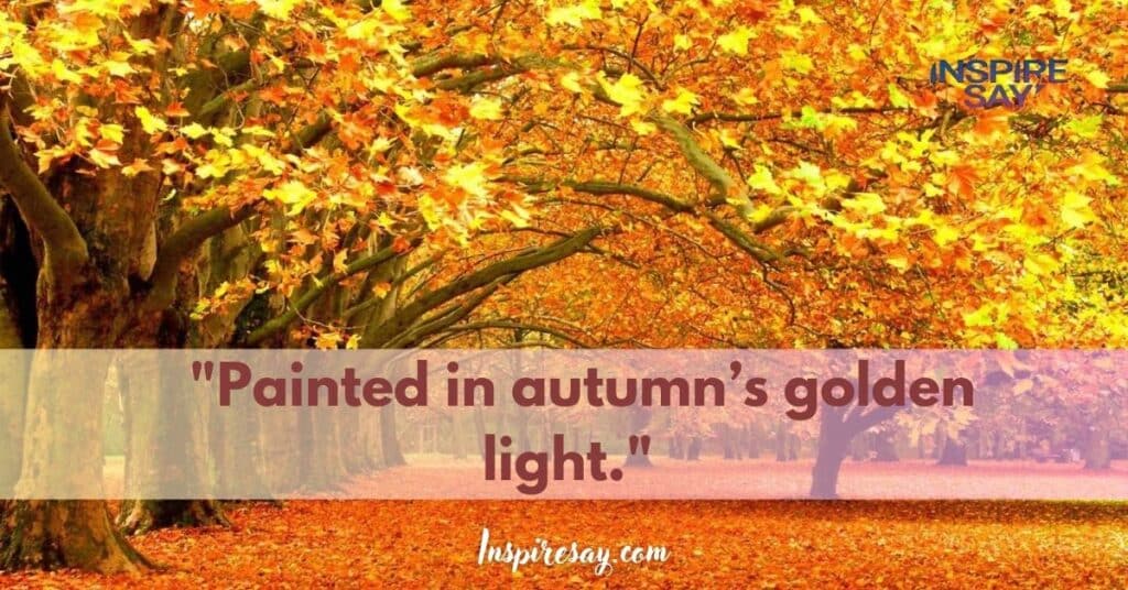 "Painted in autumn’s golden light."