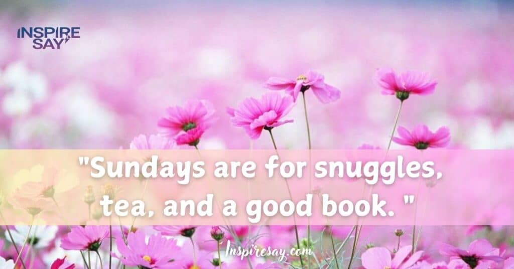 "Sundays are for snuggles, tea, and a good book.