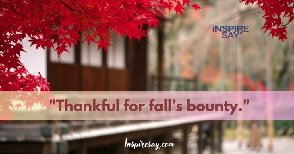 "Thankful for fall’s bounty."