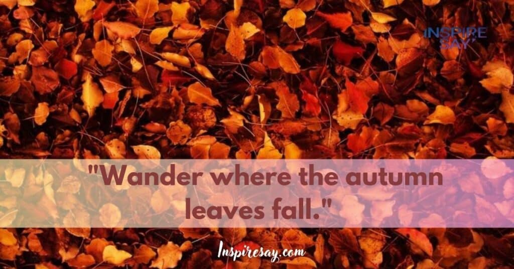 "Wander where the autumn leaves fall."