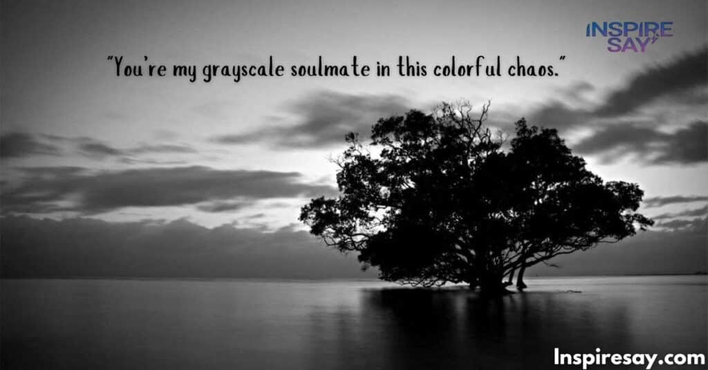 "You’re my grayscale soulmate in this colorful chaos."