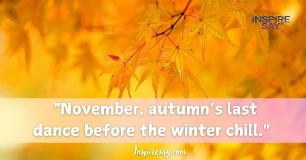 "November, autumn’s last dance before the winter chill."