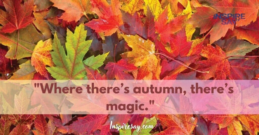 "Where there’s autumn, there’s magic."