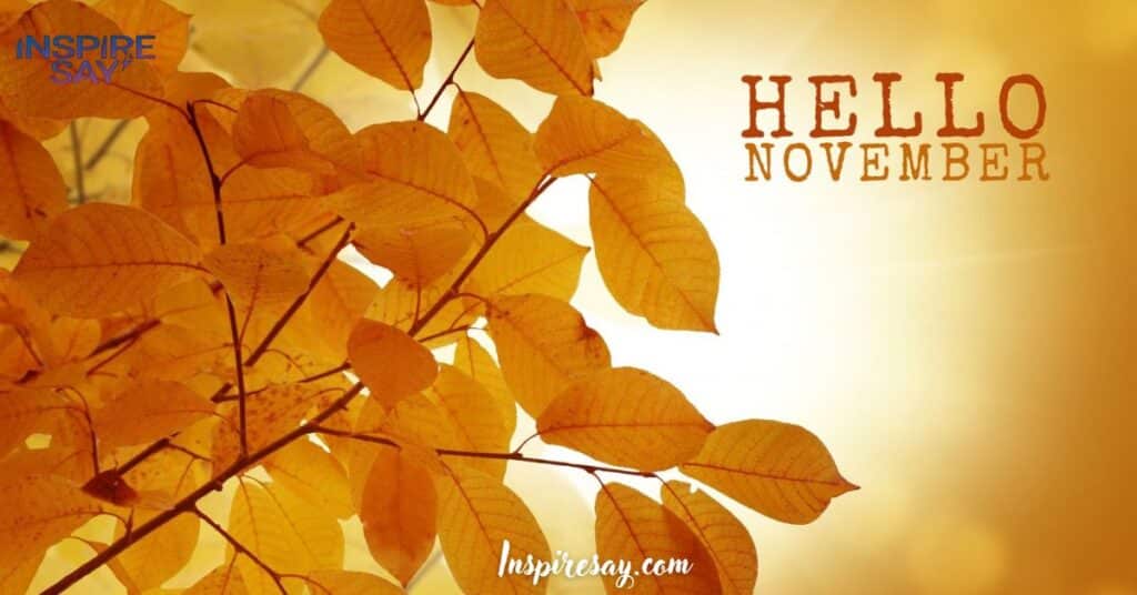 "Hello, November!"