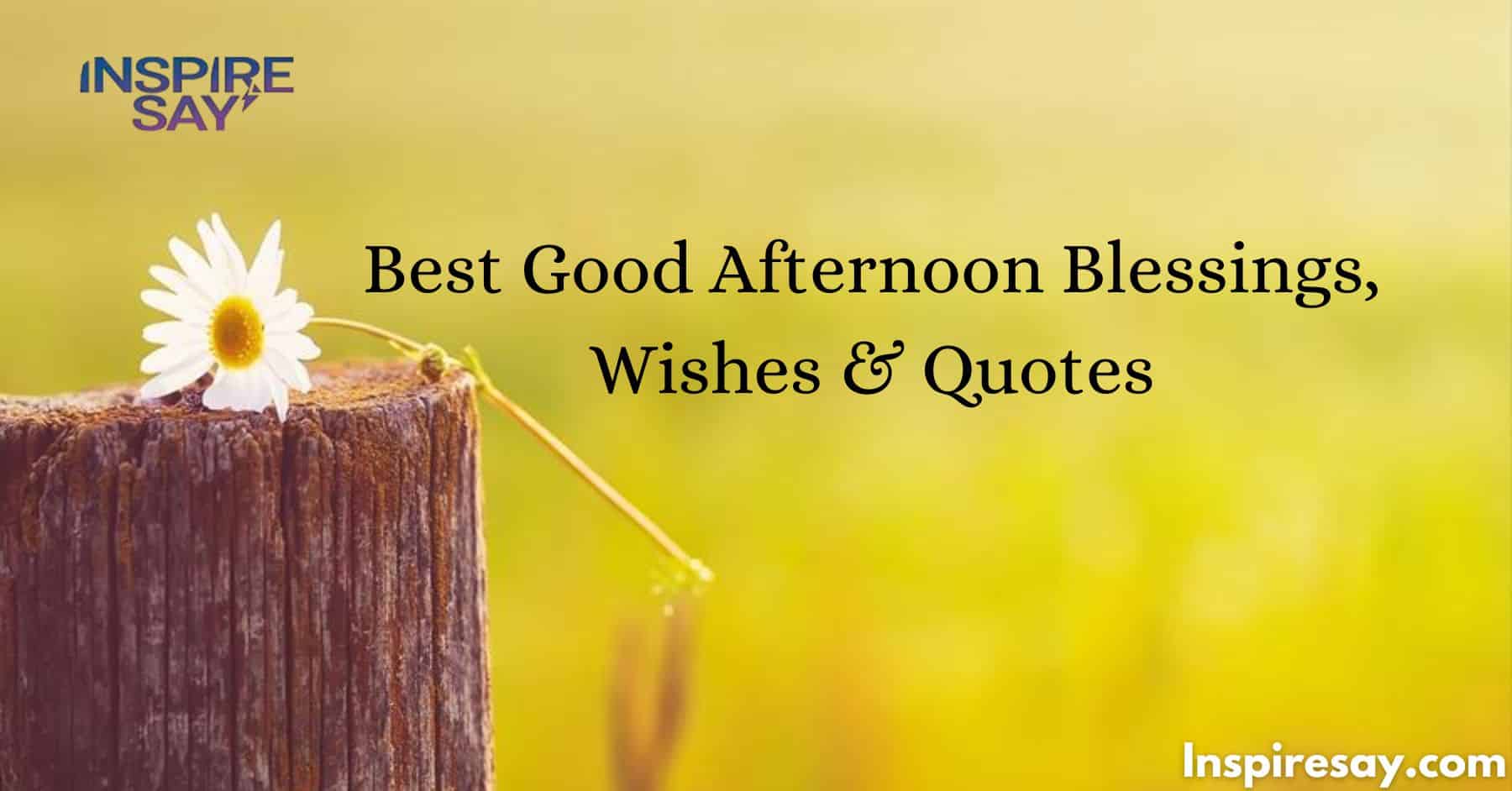 Best Good Afternoon Blessings, Wishes & Quotes