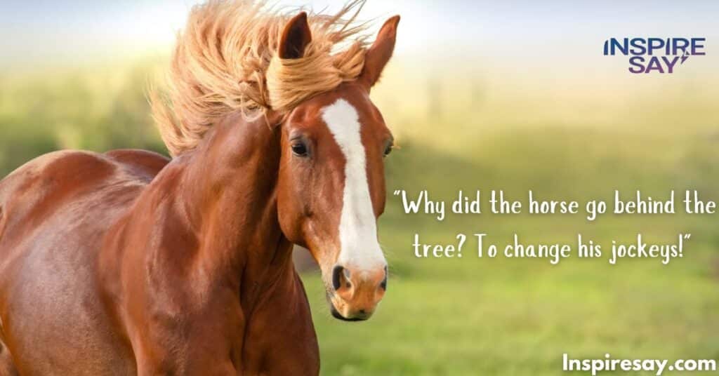 Funny and Light-Hearted Horse Quotes – Laughter and Joy with Horses