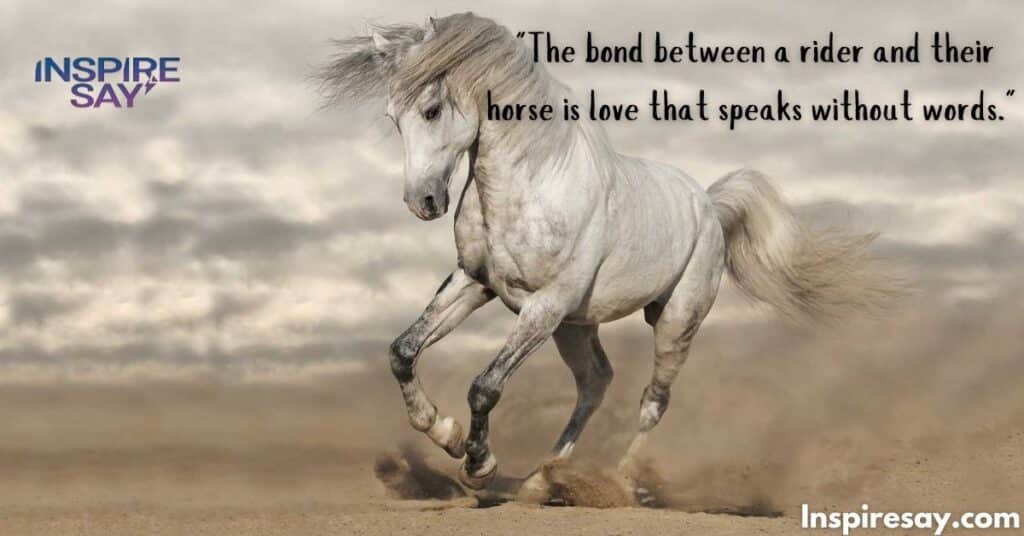 Horses and Love – The Heartfelt Connection