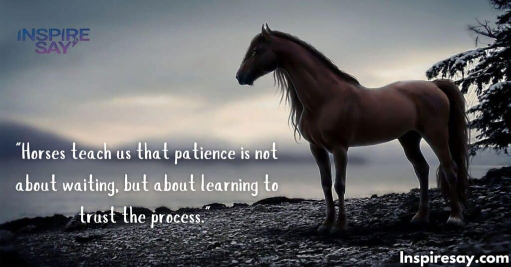 Horses and Patience quotes– A Virtue Learned Through Riding