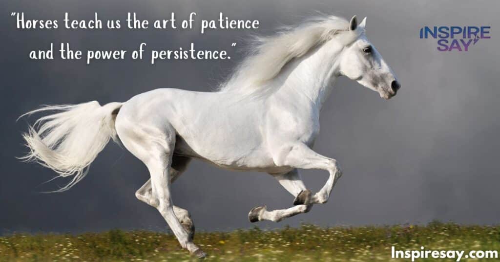 Life Lessons from Horses quotes