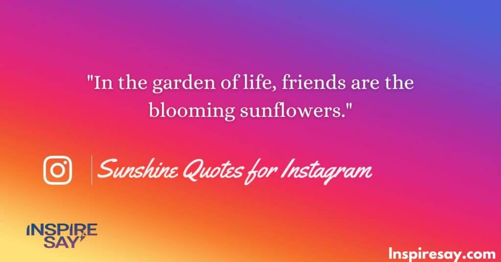 Sunshine Quotes for Instagram